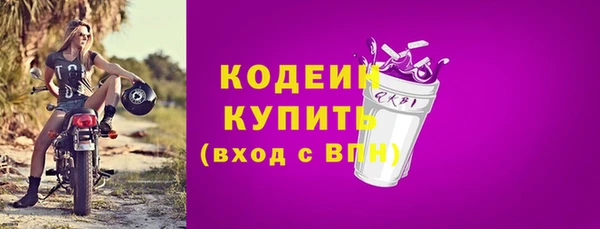 амф Бородино