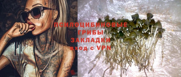 a pvp Богданович