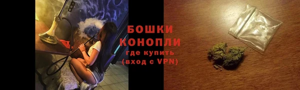 прущие грибы Белоозёрский