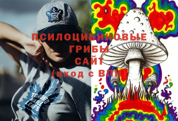 спиды Богородск