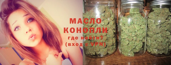 амф Бородино