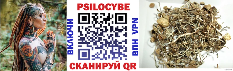 наркошоп  Невель  Псилоцибиновые грибы прущие грибы 